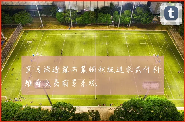 罗马诺透露布莱顿积极追求武什科维奇交易前景乐观